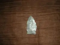 DSCN4487.webp