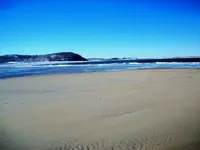 101_4817.webp