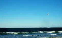 101_4805.webp