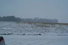 DSC01084.webp