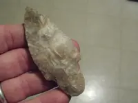 P1010209.webp