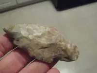 P1010206.webp