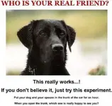 truth.webp