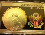 Silver Dollar.webp