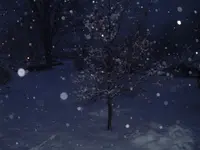 beautifull.webp