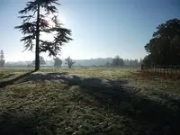 DSCF0613.webp