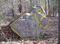 weekenders pic owl rabbig marked rangler.webp