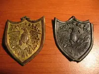 eagle+shieldfront[1].webp