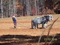 100_3376.webp