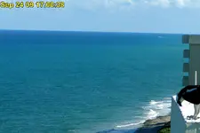 Treasure hunting at Jupiter Inlet.webp