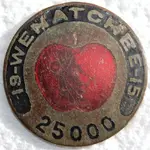 1915 apple pin 001.webp