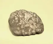 cob3.webp
