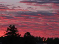 IMG_1749.webp