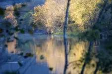 Reflection.webp
