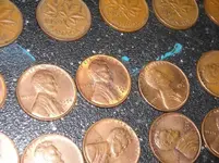 2-7-11 Wheats4.webp