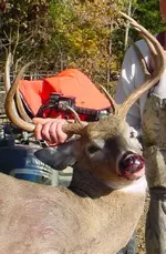 Vicki\'s buck 2010 005.webp