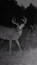 october shots 099.webp