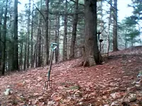 NC FINDS 12 23 03.webp