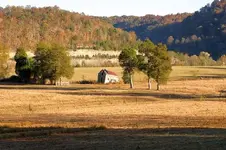Old cabin.webp
