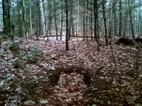 NC finds 12 23 02.webp