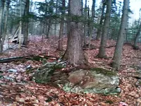 NC FINDS 12 23 01.webp