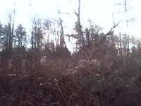 NC finds 12-23.webp