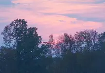 Sunset.webp