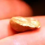nc finds 12-23 027.webp