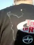 tn.webp