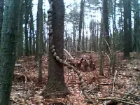 nc finds 12-3.5.webp