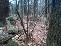 nc finds 12-3.3.webp