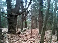 nc finds 12-3.2.webp