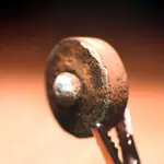 NC finds 12-3 007.webp