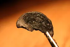 NC finds 12-3 004.webp