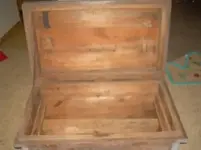 trunk 2006.webp