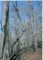 scan0002.webp
