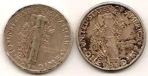 121806 Silver Back.webp