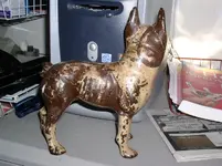 bostonbull2.webp