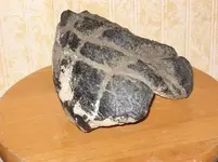 Food Rock20.webp