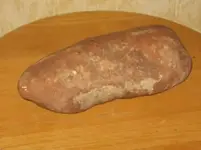 Flesh from Coelursaur20.webp