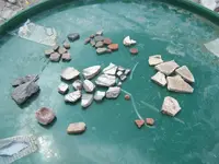 sherds1a.webp