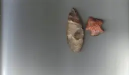 arrow heads color.webp