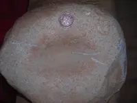 DSCN1326.webp