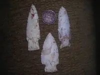 DSCN1323.webp