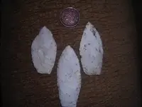 DSCN1321.webp