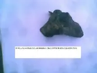 relic before time.webp