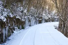 DSC04021.webp