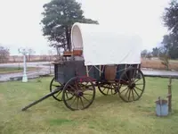wagon2.webp