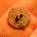 NC FINDS 12-13 006.webp