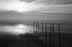 calm1.webp